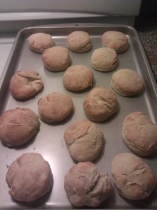 biscuits biscuits